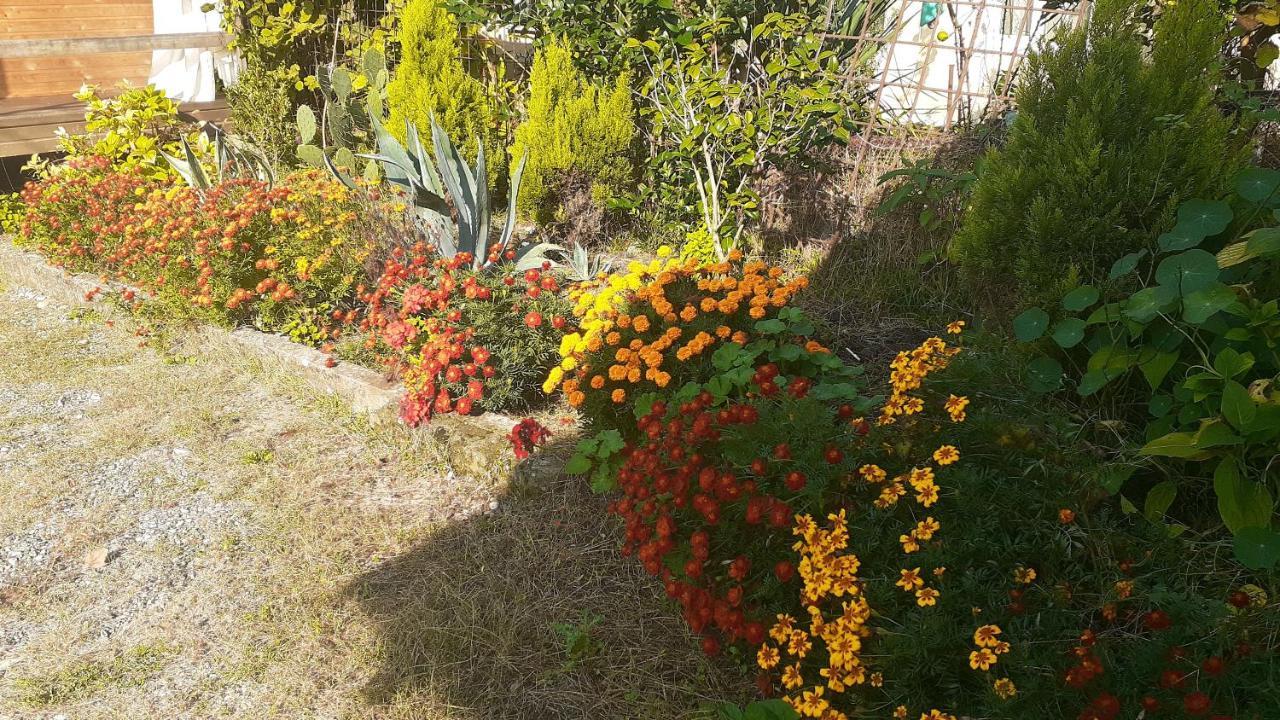 Guest House Ahan Gagra Buitenkant foto