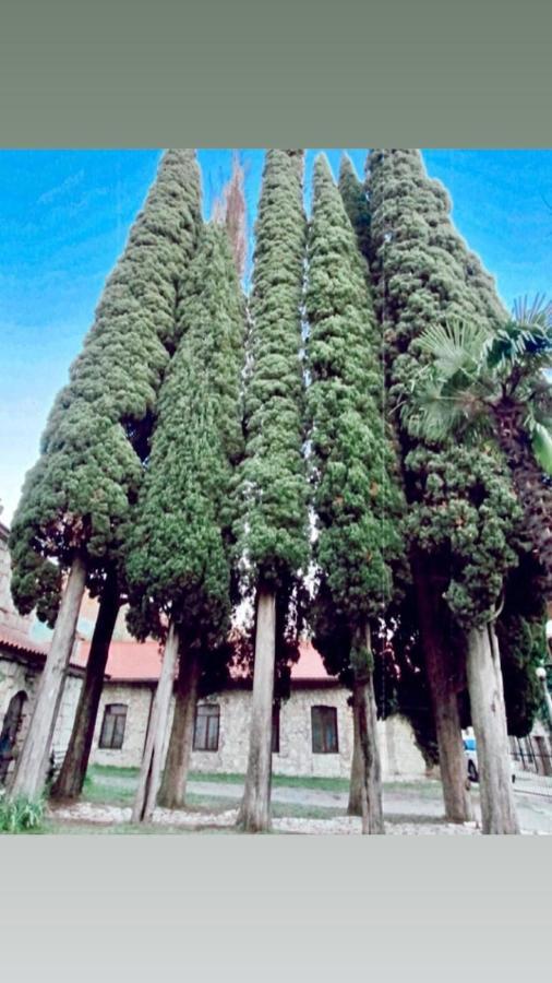 Guest House Ahan Gagra Buitenkant foto