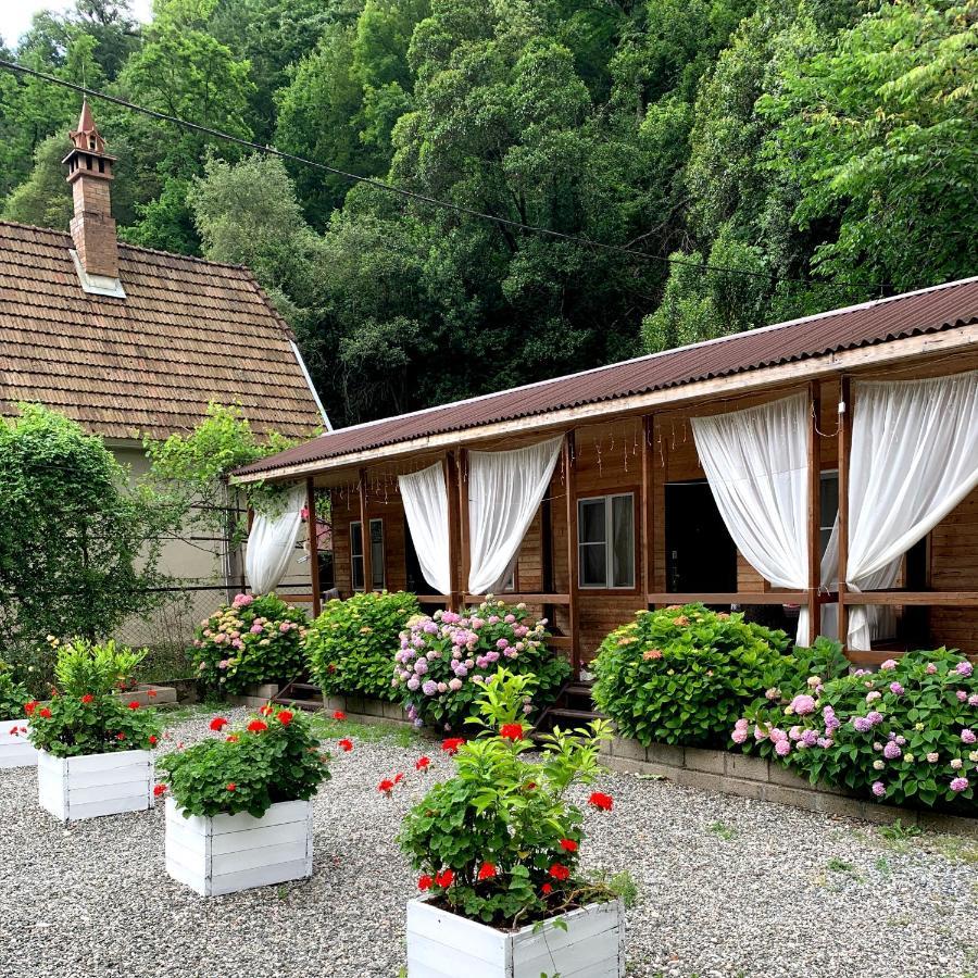 Guest House Ahan Gagra Buitenkant foto