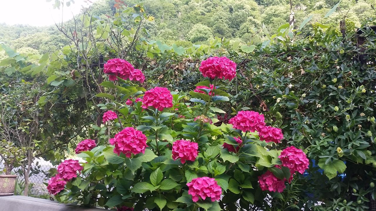 Guest House Ahan Gagra Buitenkant foto